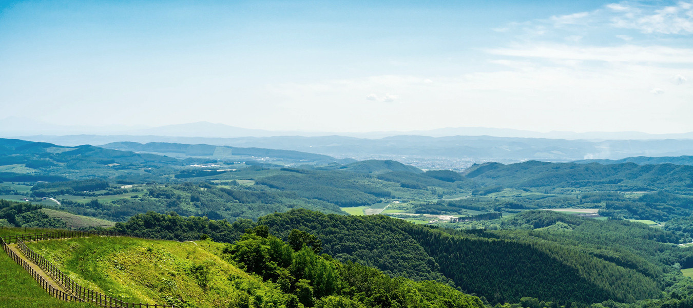 株式会社たびぱる