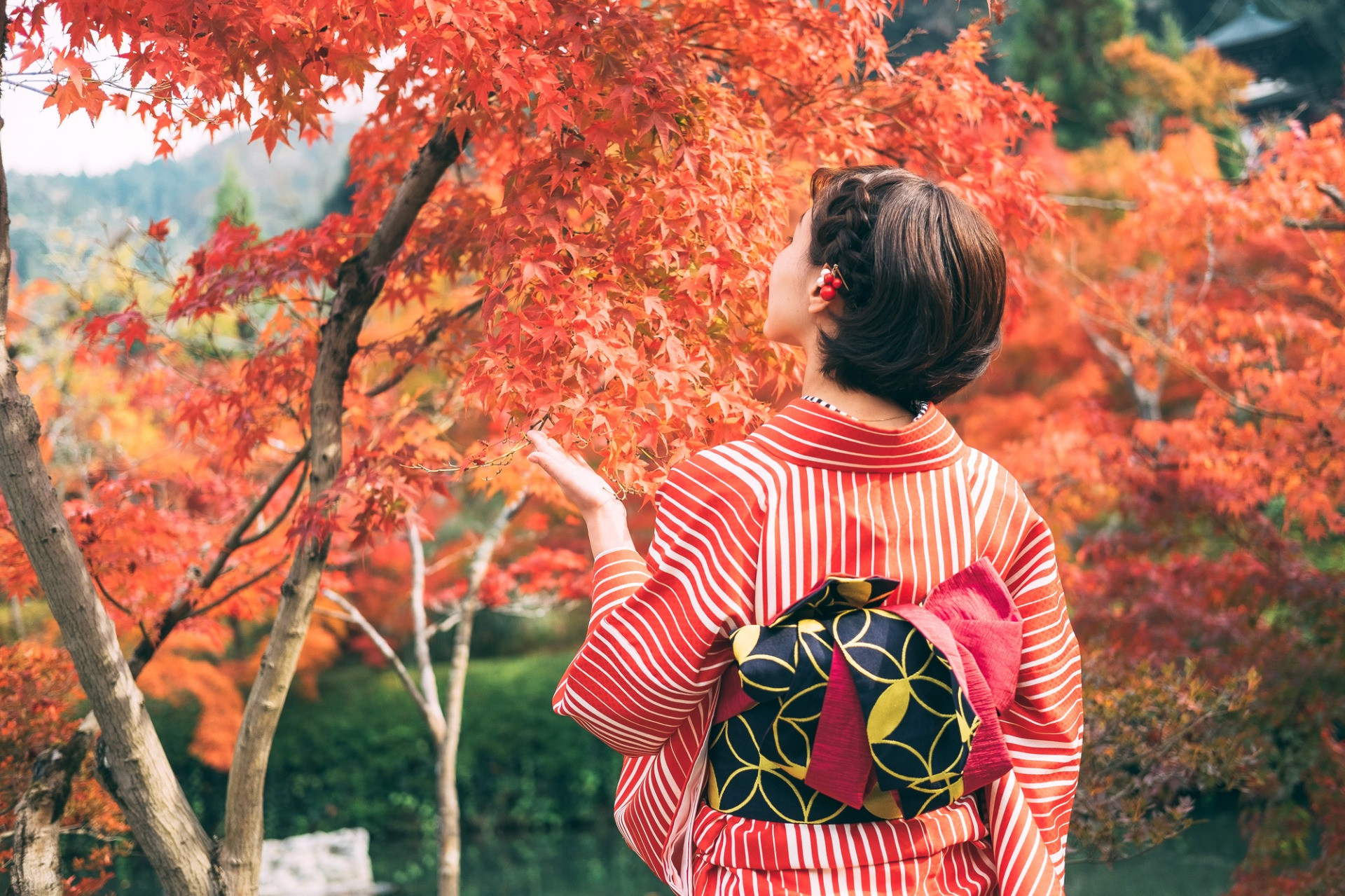 株式会社たびぱる